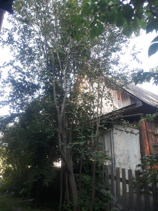 1659869626564311131354075657114