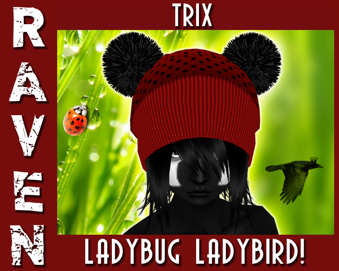 TRIX-LADYBUG-LADYBIRD-png