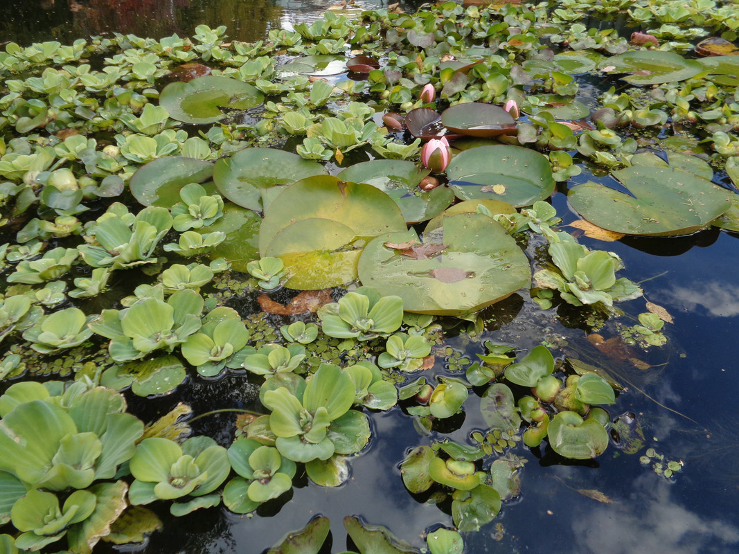 DSC01238