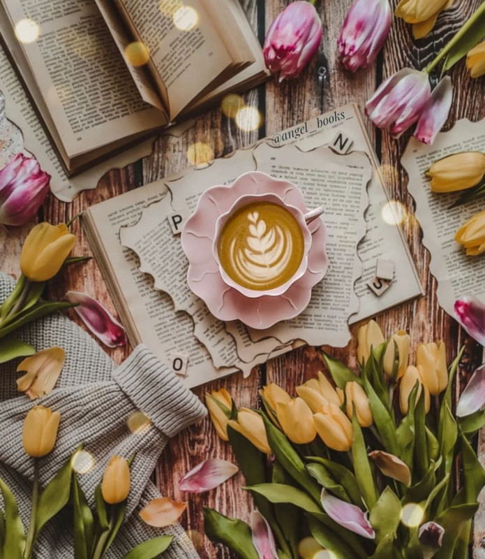 Screenshot_20231210_164828_Instagram