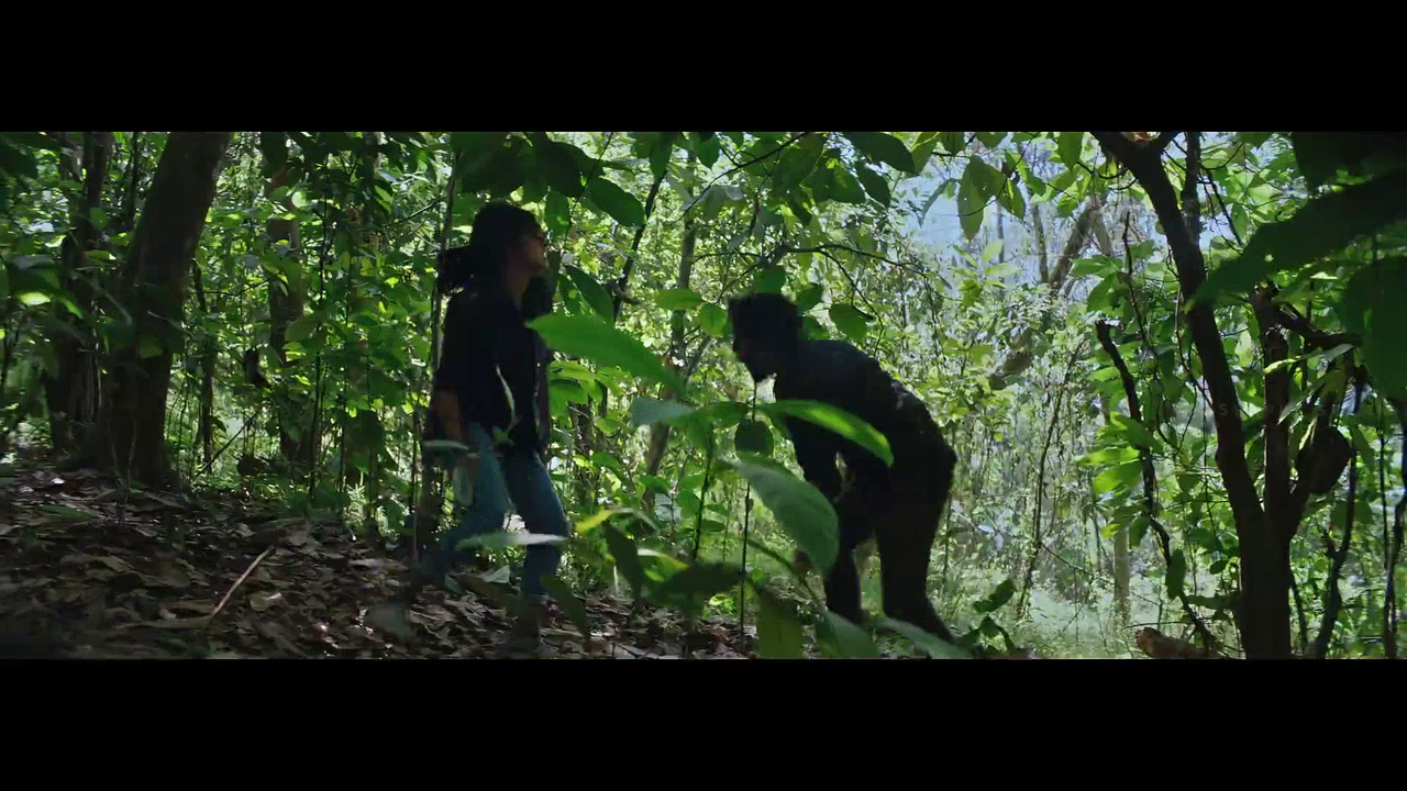 vlcsnap 2026 01 13 20h25m11s993