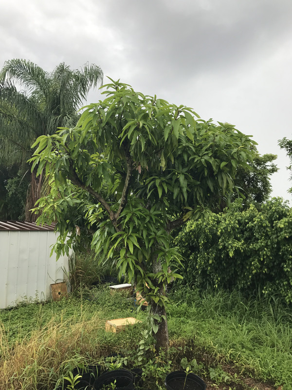 748C38C1-D1AD-4EBC-AC76-E16CF3B37577