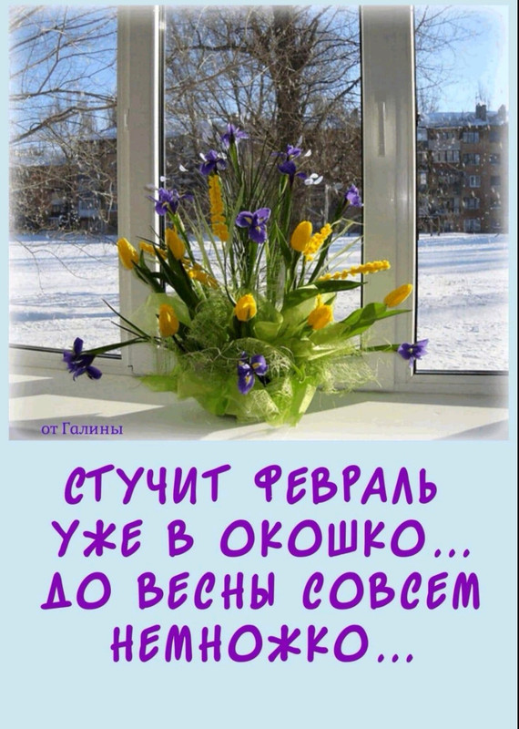 Screenshot-20230201-084931-com-viber-voi