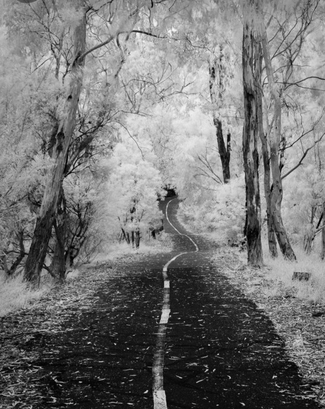 Screenshot_20240119_223246_Pinterest