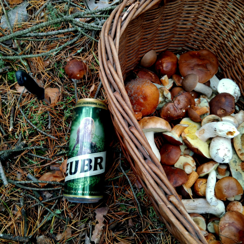 [Obrazek: IMG-20241005-114220.jpg]