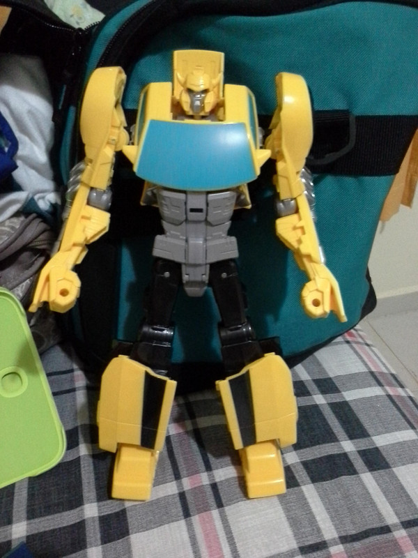 1430101293_cyberbumblebee4