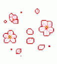 flower gif