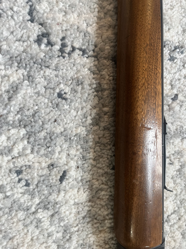 2FD4E52D-6FEB-4B38-ABD8-6E27F07AE3F5