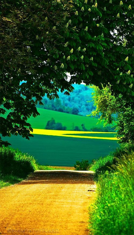 yellowcountryroad.jpg
