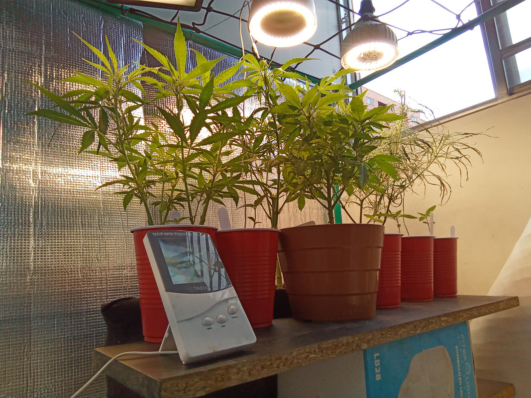 IMG_20210510_121055_133