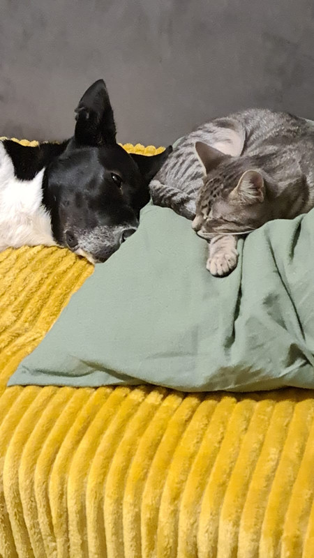 41494469-B395-4D7B-A778-37D086E4D8E4