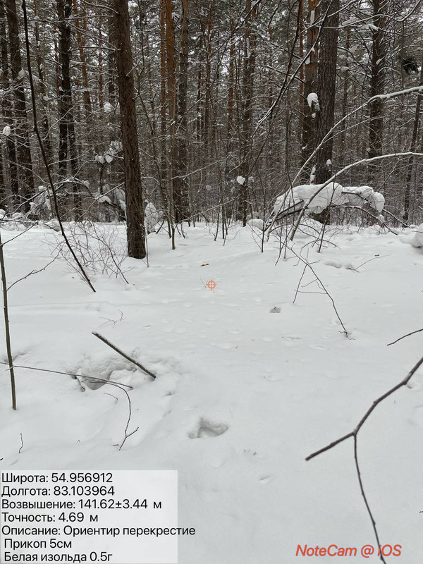 photo 2026 02 10 15 25 05