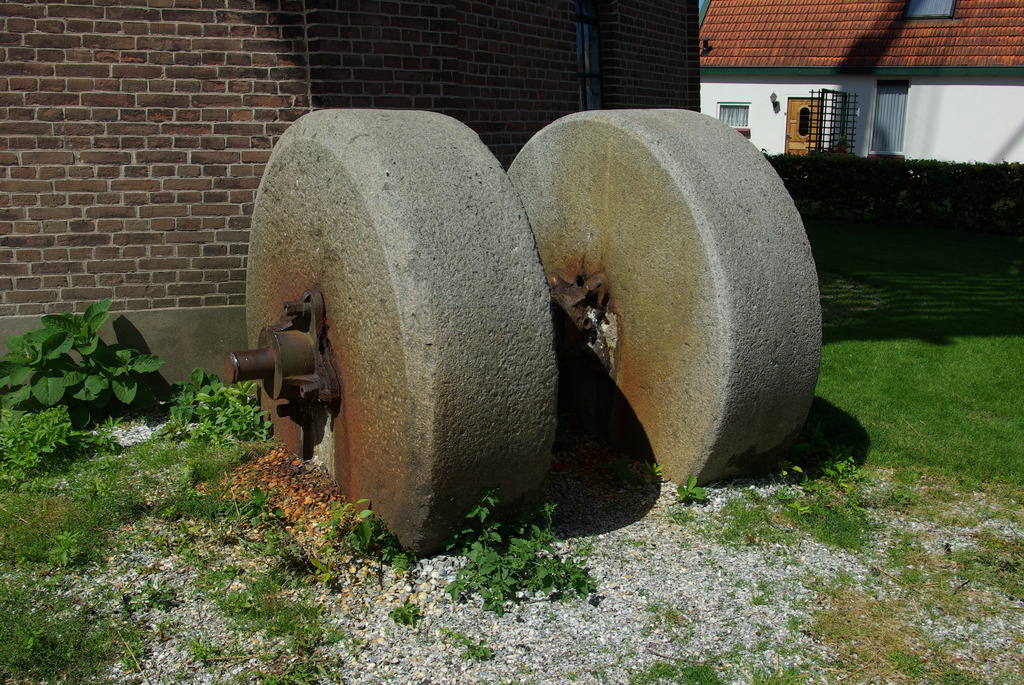 (03852) Windlust - Wolvega 7