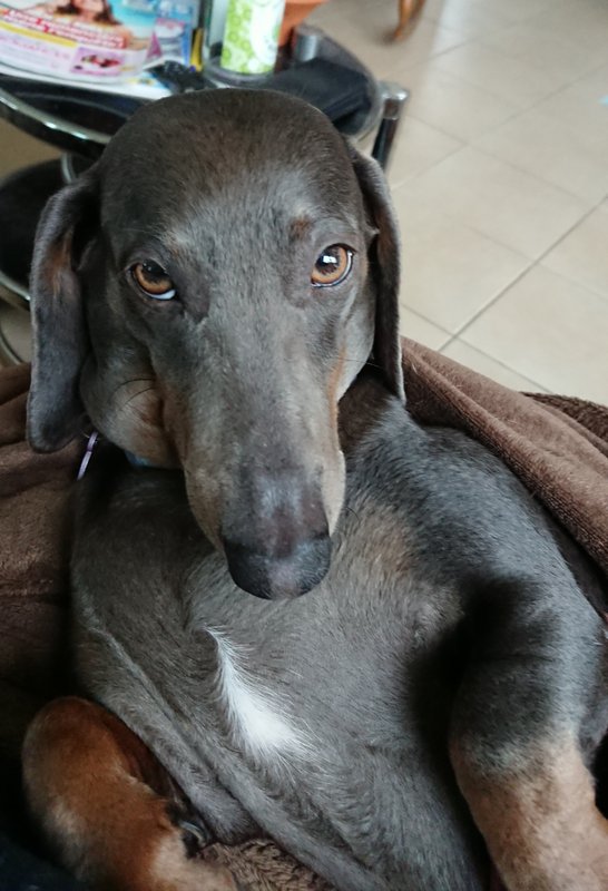 [Image: 20250108-211315.jpg]