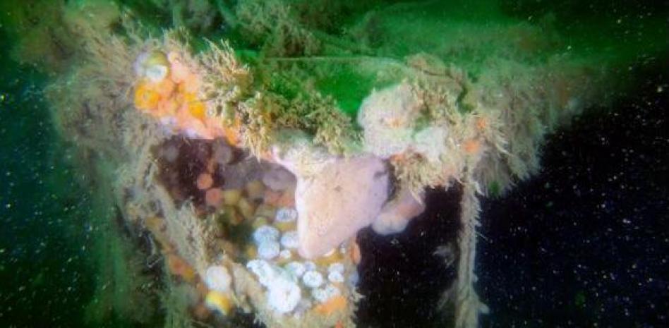 Revestimiento de cubierta rasgada del V-1302 John Mahn que fue dañado por una bomba que golpeó en medio del barco. VLIZ