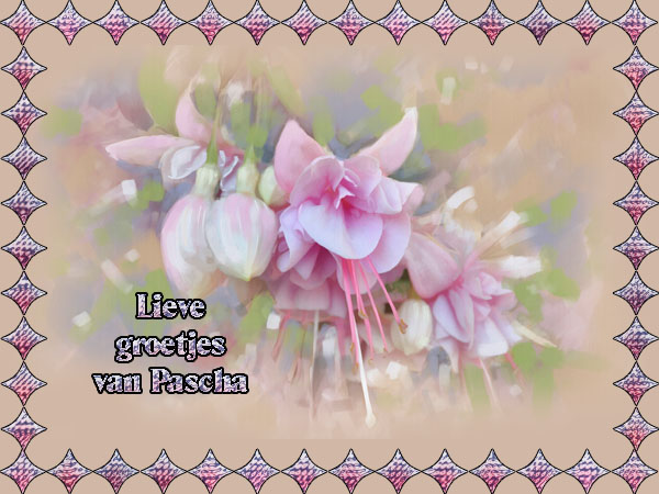 lieve-groetjes-bloemen-pastel.jpg