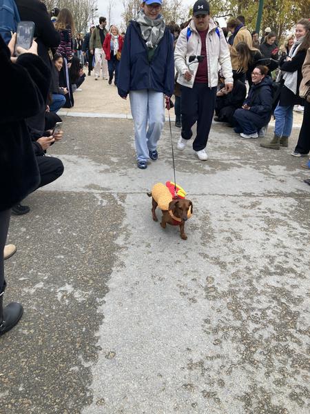 [Image: IMG-5746.jpg]