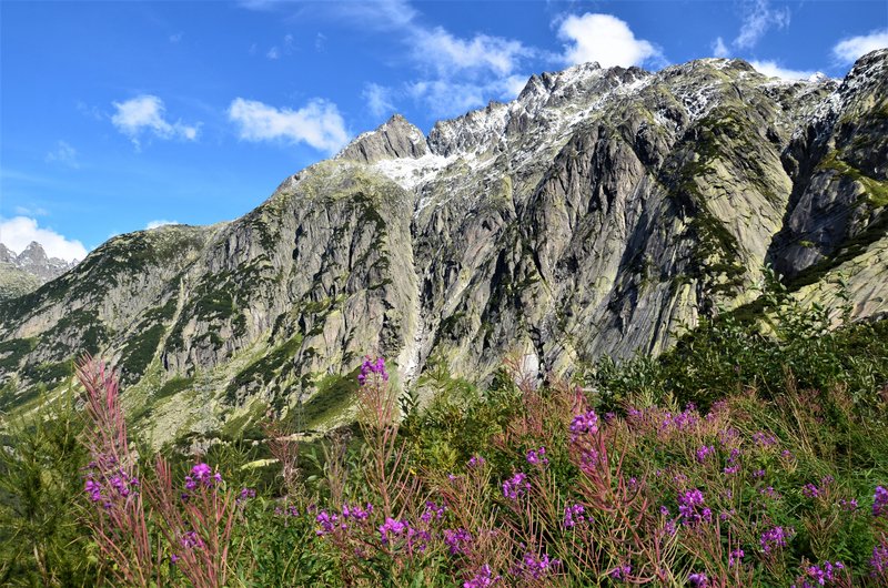 GLACIAR DE RODANO-9-9-2019 - Suiza y sus pueblos-2019 (110)