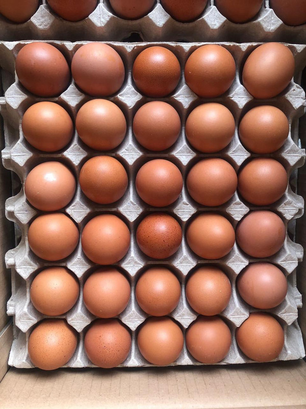 Small fresh eggs 43g in tray wholesale Kajiado