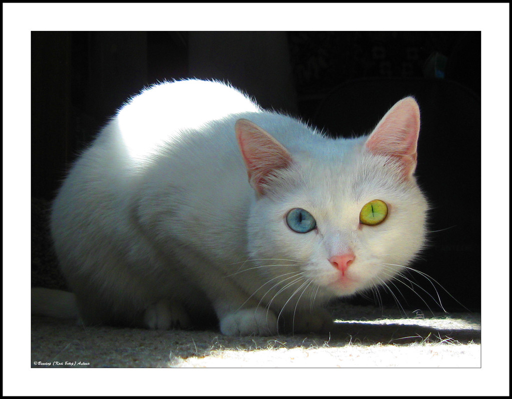 IMG-8203-23