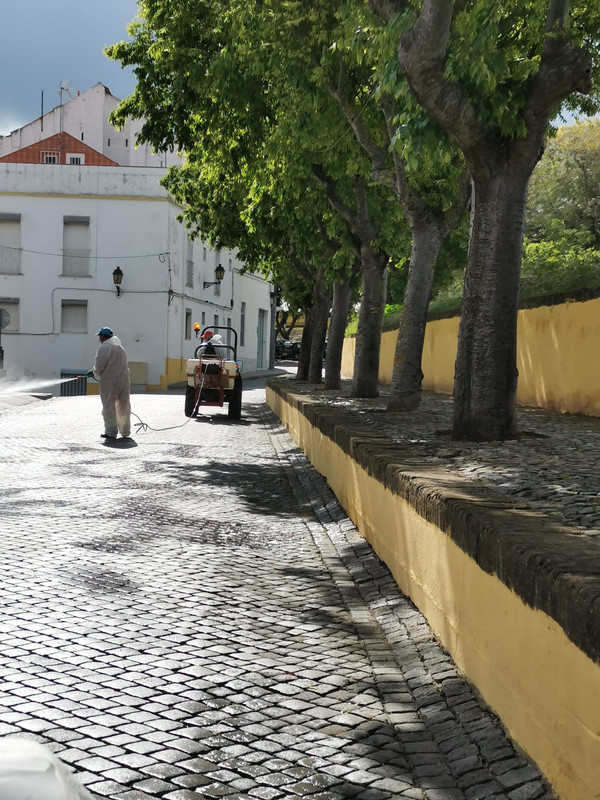 ELVAS: CÂMARA MUNICIPAL PROSSEGUE COM AÇÕES DE HIGIENIZAÇÃO 1