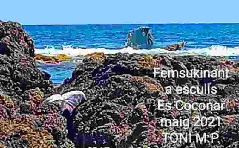 Imatge