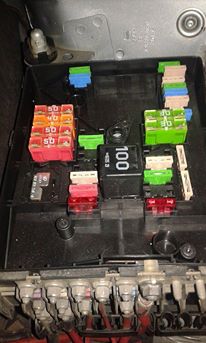 14137868_1209603372423315_1043334723_n