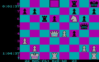 chess_039