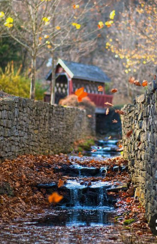 Screenshot_20230302_011105_Pinterest