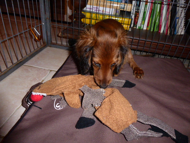 [Image: P1050412.jpg]