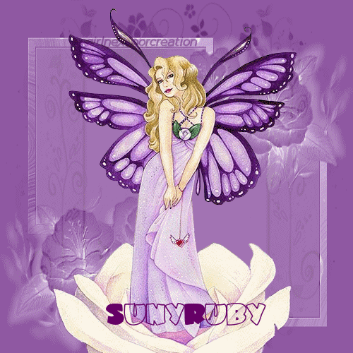 Suny-Ruby-Fairy-Purple-Rose