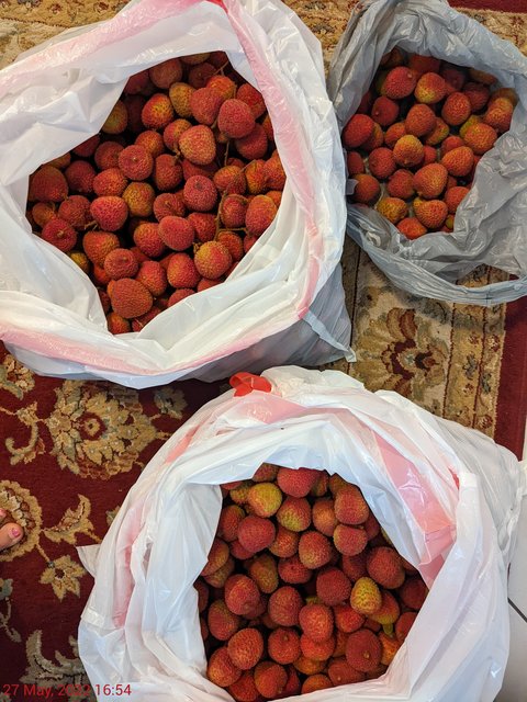 [Image: PXL-20220527-205445278.jpg]