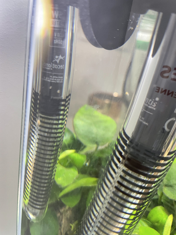 82A7F692-0F9C-4A9A-B822-312AEC988AC6