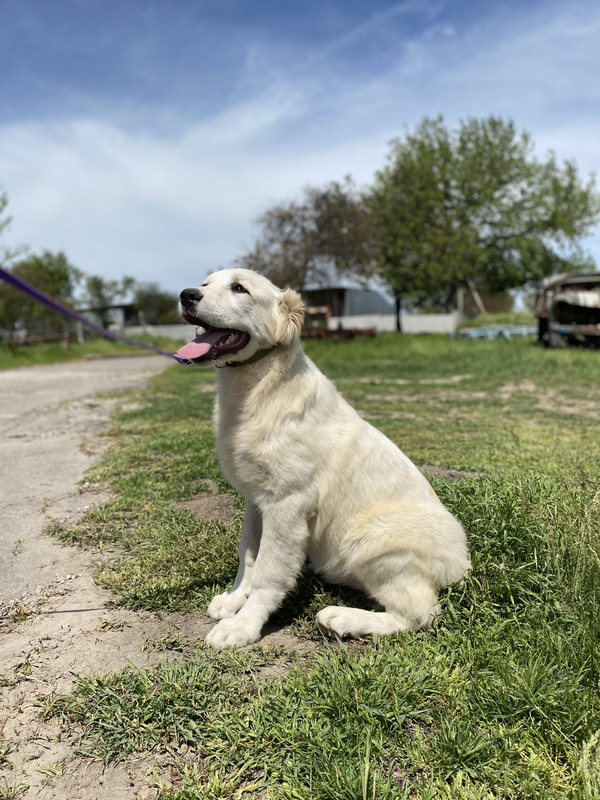 C60DBEFC-8EC2-4F3D-8E3F-D7151499E067