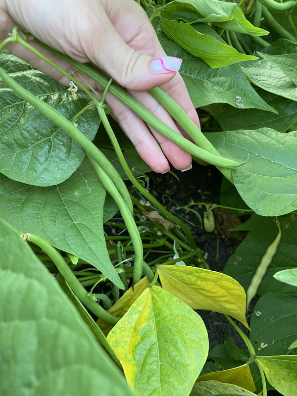 3B8981AE-D44B-4A4A-A705-604D9F71EC4D