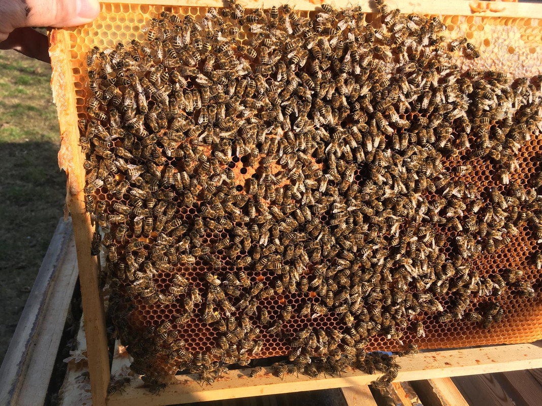 8FF73C0A-605F-4E3B-A130-5F9C663D0F90