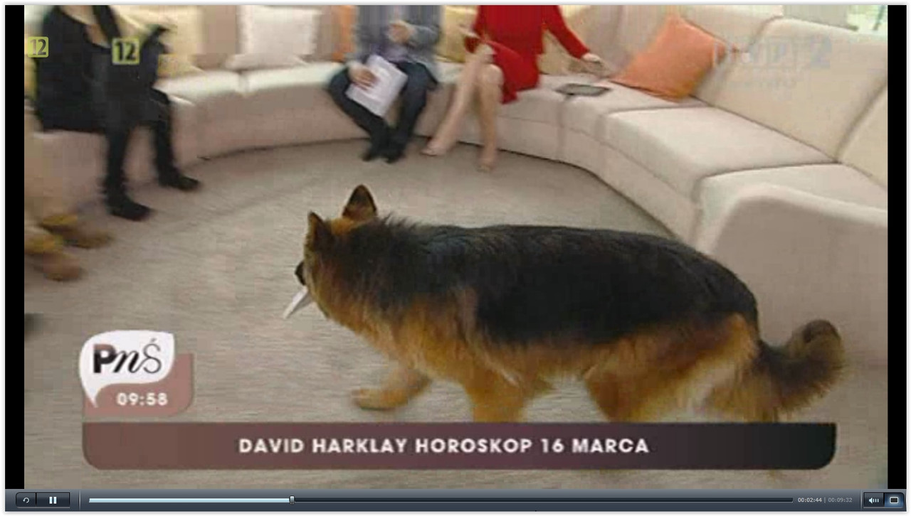 Screen Shot 07-15-15 at 01.00 PM 005