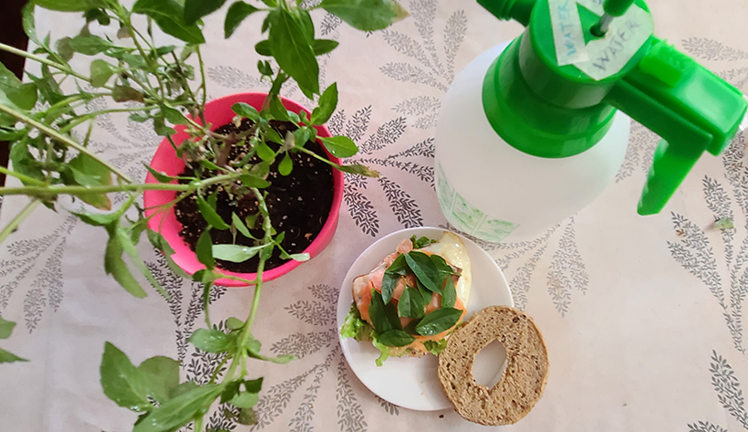 [Image: 20230602-175930.jpg]