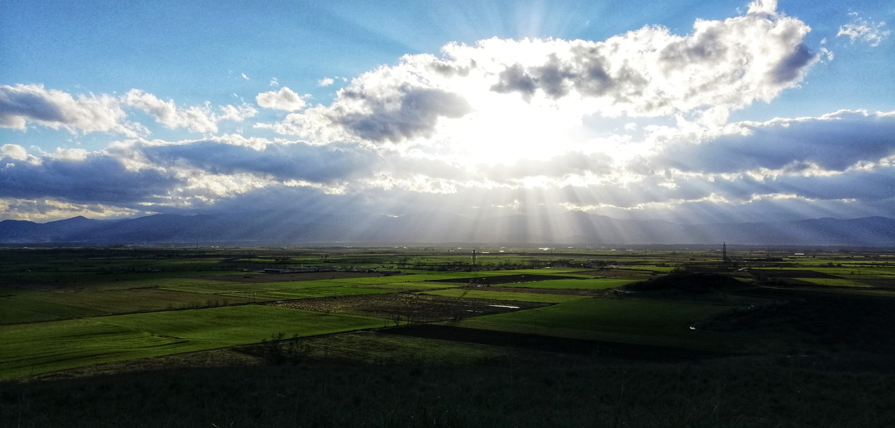 IMG-20201231-155652-01-1.jpg