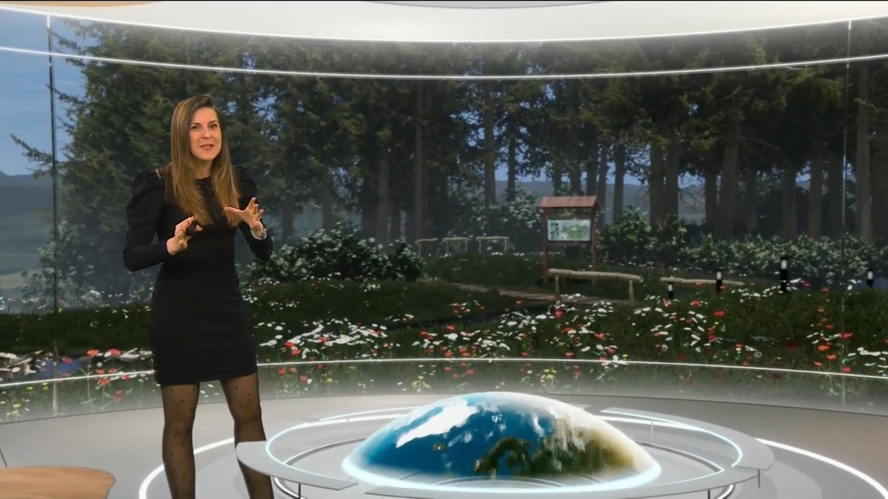 Daniela Prepeliuc 230321.mp4_snapshot_02.20_[2021.03.23_16.31.28]