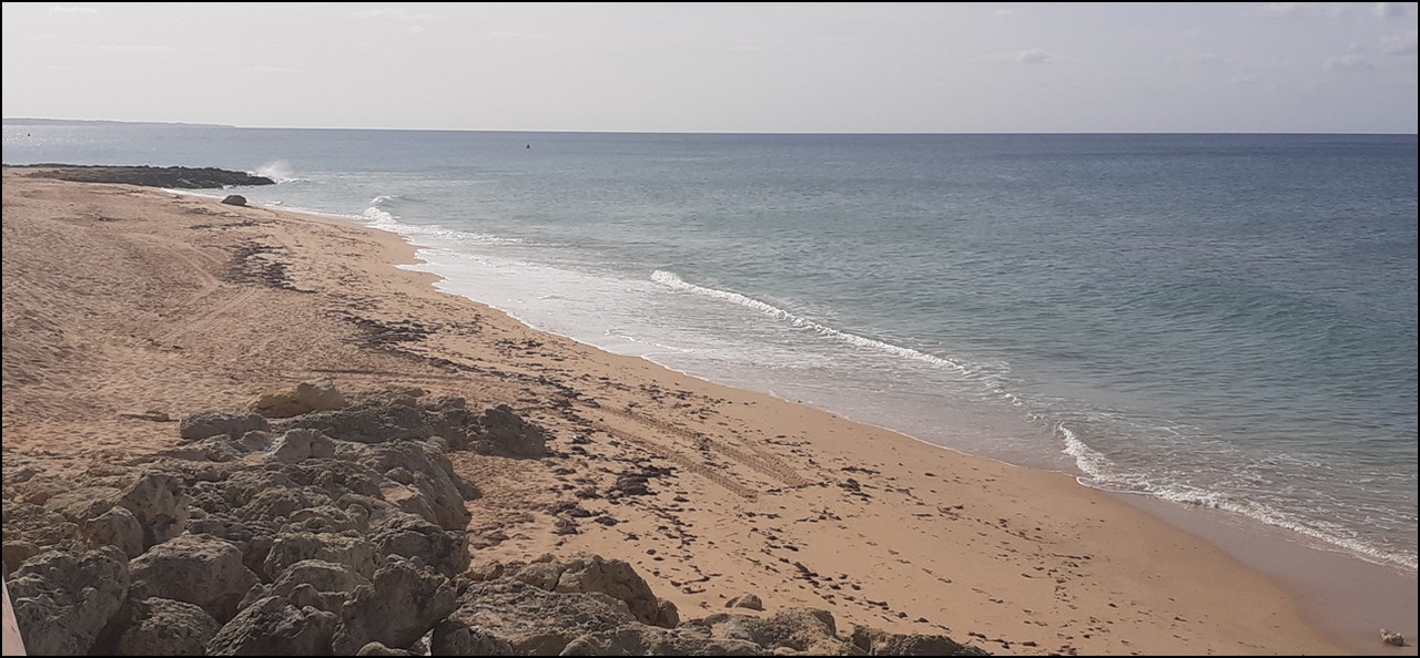 Albufeira-Praia-da-Oura-030625 (11)