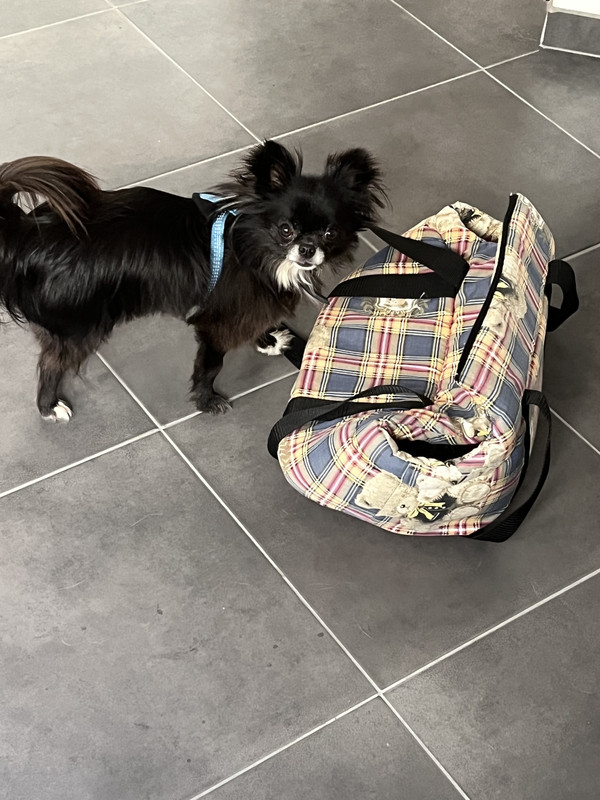 [Image: 5-F6-B00-D2-1-FA3-457-D-B1-FB-3-B970563-D01-D.jpg]