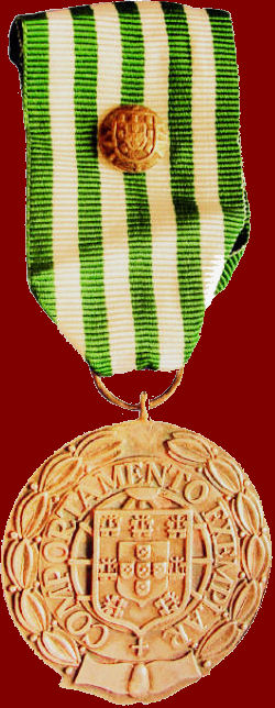 Comportamento-Exemplar-ouro