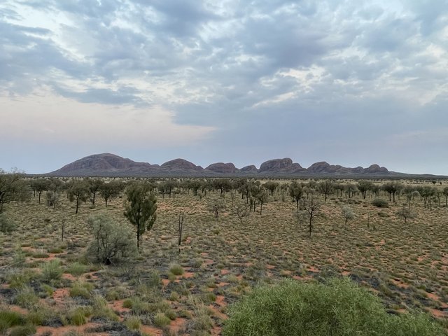 El abrazo a Pearl - Blogs de Australia - Kata Tjuta - Las Olgas (1)