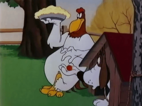 8e01c432414467cc89eb20df94261fd2.gif