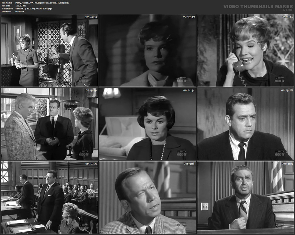 Perry.Mason.707.The.Bigamous.Spouse.(Tvrip).mkv