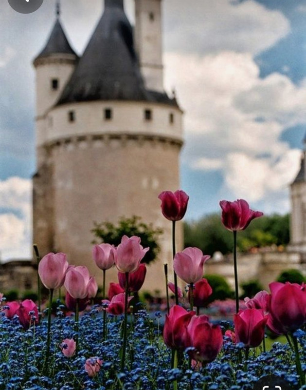 Screenshot_20240405_204050_Pinterest