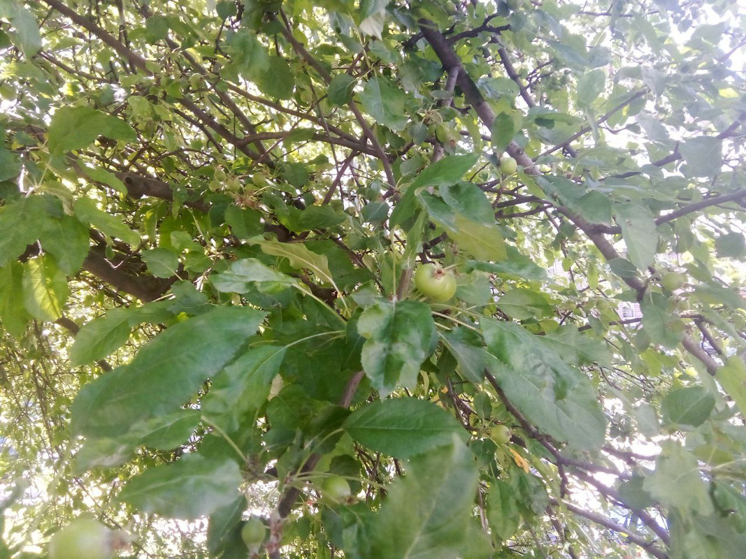 photo_2025-05-31 5.25.13 пп