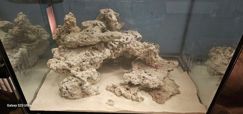 491f8d63 4c0e 4712 ad16 740f9cdb04be