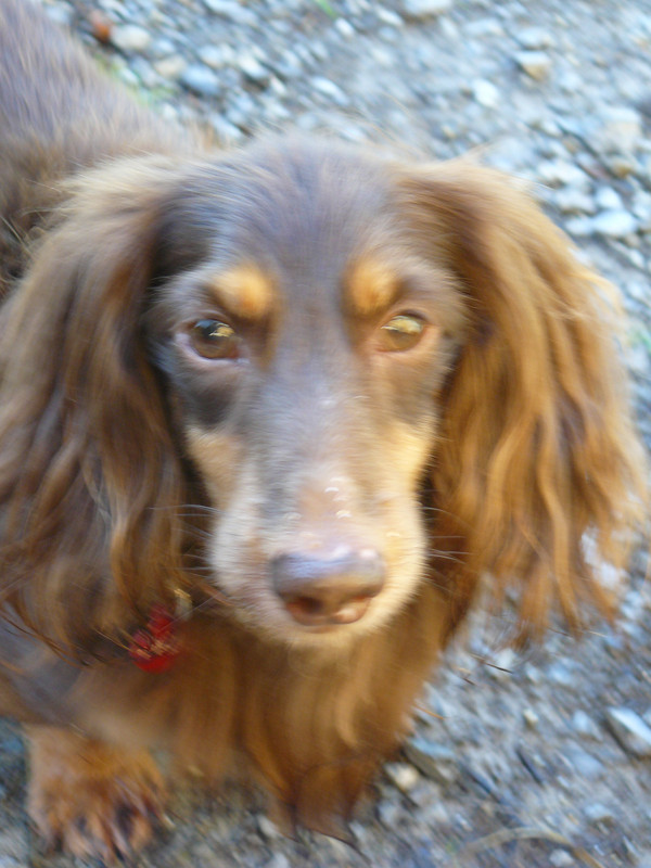 [Image: P1240552.jpg]